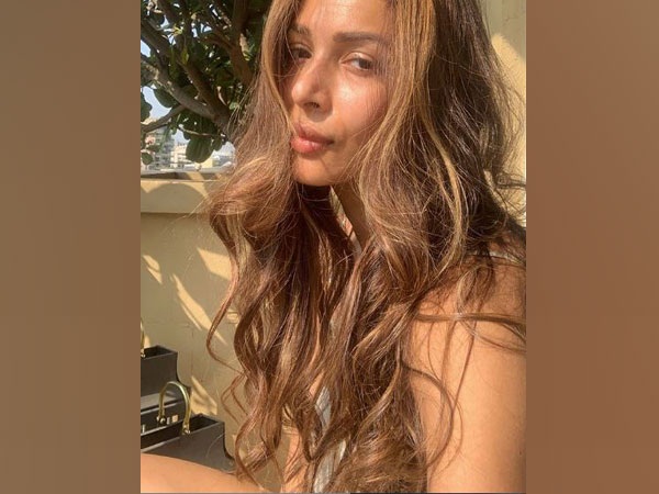 Malaika Arora shares sunkissed selfie as she goes sans-makeup
